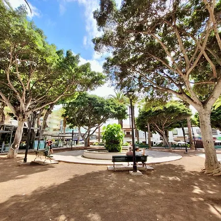 Estudio Hortensia Puerto de la Cruz (Tenerife)